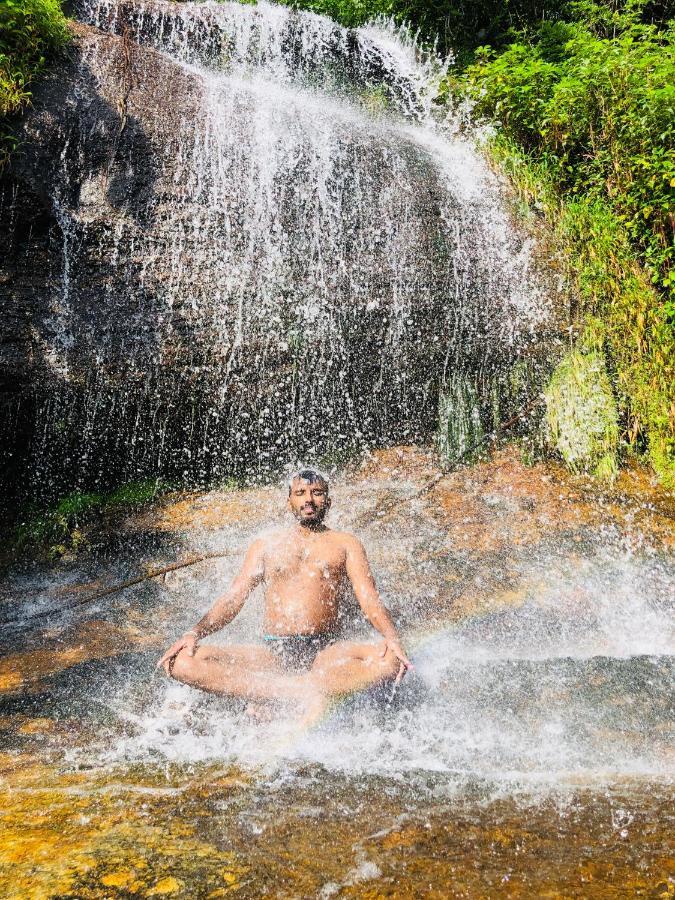Forest Shade Eco Resort Deraniyagala Eksteriør bilde