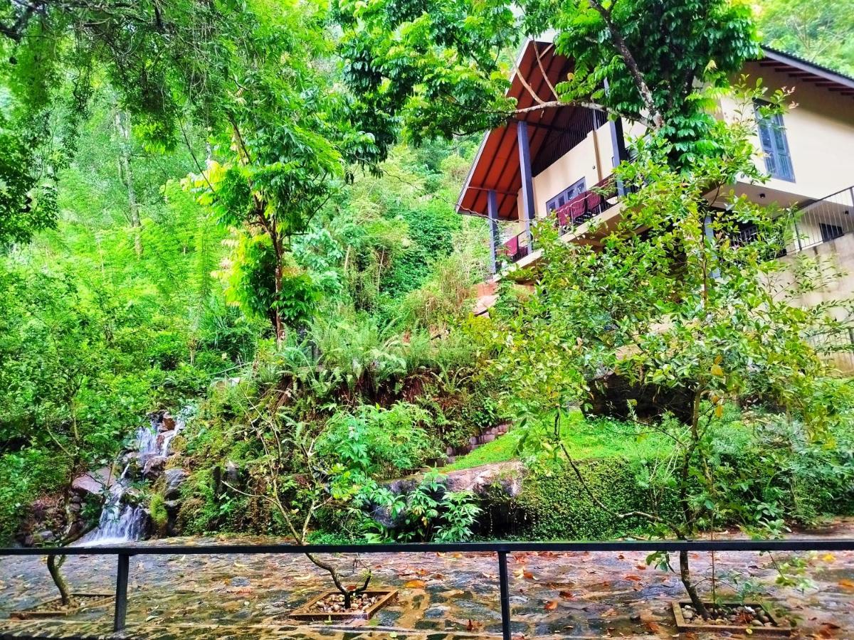 Forest Shade Eco Resort Deraniyagala Eksteriør bilde